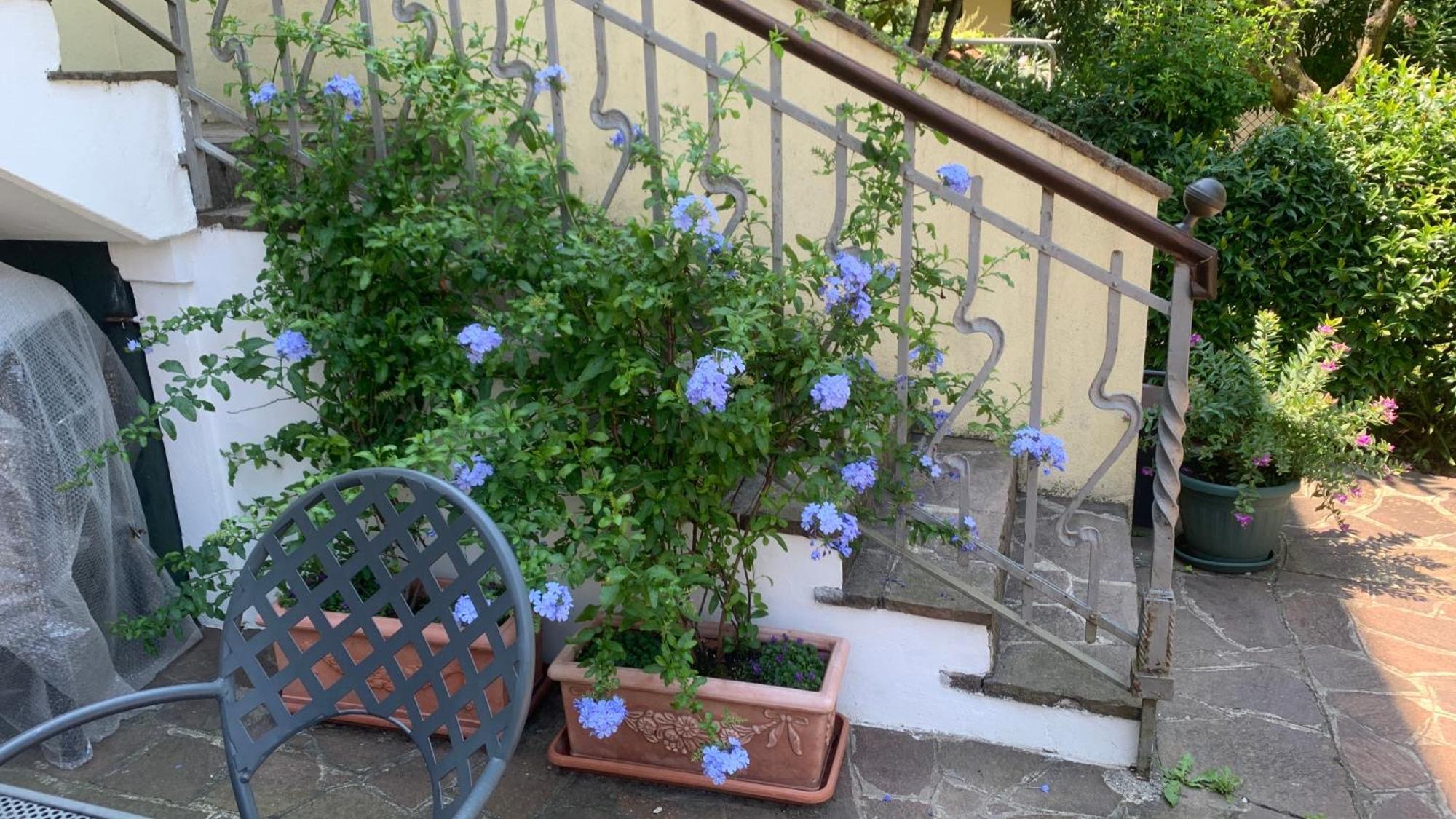 B&B Margherita Desenzano del Garda Habitación foto